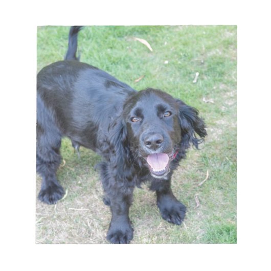 Cute Black Puppy Notitieblok (Voorkant)