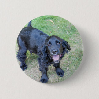 Cute Black Puppy Ronde Button 5,7 Cm