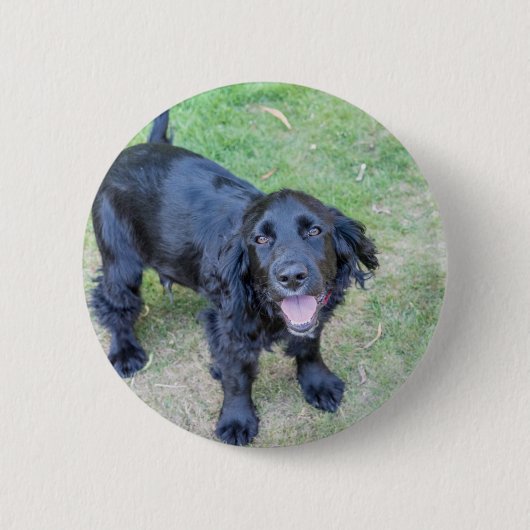 Cute Black Puppy Ronde Button 5,7 Cm (Voorkant)
