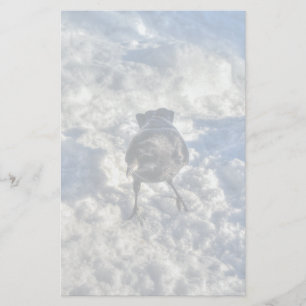 Cute Black Raven in de sneeuwfoto Briefpapier