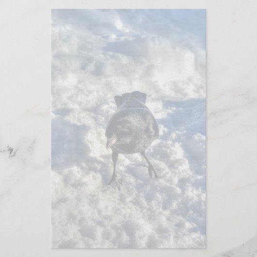 Cute Black Raven in de sneeuwfoto Briefpapier (Voorkant)