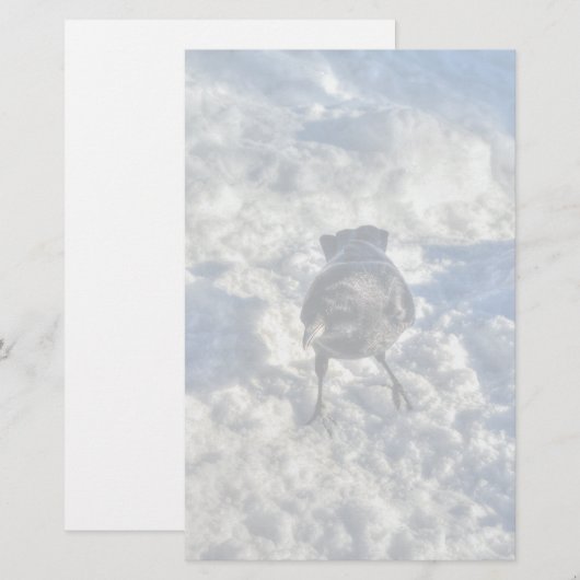 Cute Black Raven in de sneeuwfoto Briefpapier (Voorkant / Achterkant)