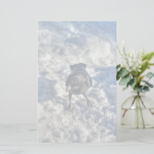 Cute Black Raven in de sneeuwfoto Briefpapier (Staand voorkant)