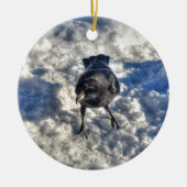 Cute Black Raven in de sneeuwfoto Keramisch Ornament (Voorkant)