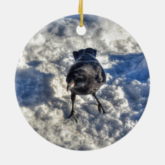 Cute Black Raven in de sneeuwfoto Keramisch Ornament (Achterkant)