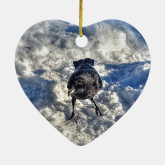Cute Black Raven in de sneeuwfoto Keramisch Ornament (Achterkant)