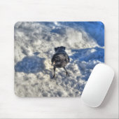 Cute Black Raven in de sneeuwfoto Muismat (Met muis)