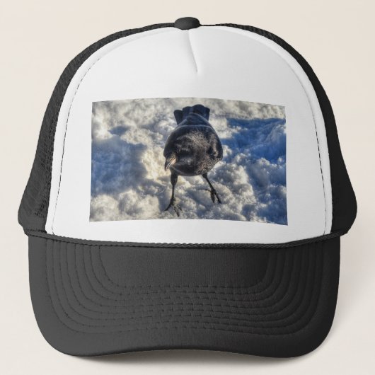 Cute Black Raven in de sneeuwfoto Trucker Pet (Voorkant)