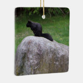 Cute Black Squirrel op een Rock Natuur Squirrels Keramisch Ornament (Rechts)