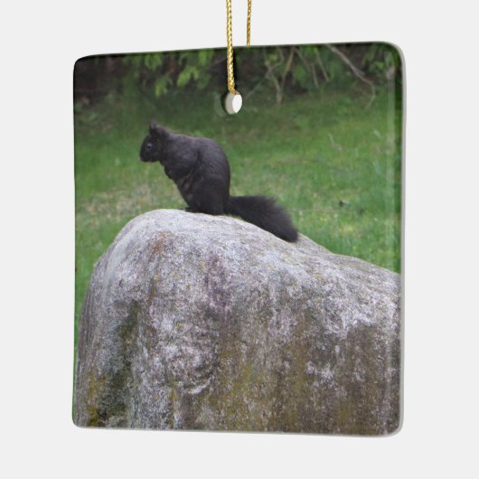 Cute Black Squirrel op een Rock Natuur Squirrels Keramisch Ornament (Links)