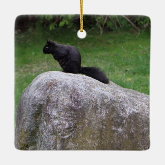 Cute Black Squirrel op een Rock Natuur Squirrels Keramisch Ornament (Achterkant)