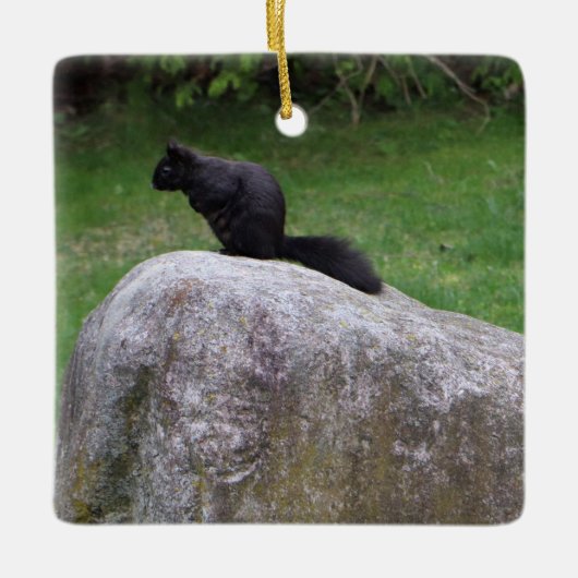 Cute Black Squirrel op een Rock Natuur Squirrels Keramisch Ornament (Voorkant)