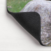 Cute Black Squirrel op een Rock Natuur Squirrels Muismat (Hoek)