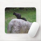 Cute Black Squirrel op een Rock Natuur Squirrels Muismat (Met muis)
