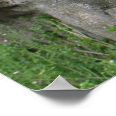 Cute Black Squirrel op een Rock Natuur Squirrels Poster (Hoek)