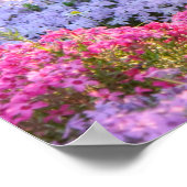 Cute Black White Cat in een kleurrijke bloeiende t Poster (Hoek)