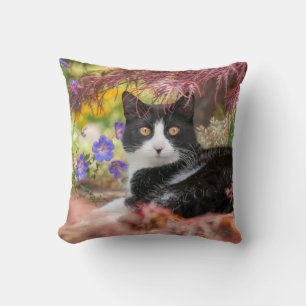 Cute Black-White Cat Resting onder een Maple Tree Kussen