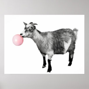 Cute Black White Goat Bubble Gum Nursery Child Poster