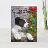 Cute Black White Puppy Dreaming in Snowfall Custom Feestdagen Kaart (Voorkant)