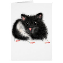 Cute Black white Syrian hamster cadeau accessoires