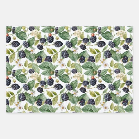 Cute Blackberries Waterverf Inpakpapier Vel (Voorkant 2)