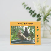 Cute Blackbird Pair Happy Birthday Cust. Briefkaar Briefkaart (Staand voorkant)