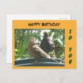 Cute Blackbird Pair Happy Birthday Cust. Briefkaar Briefkaart (Voorkant / Achterkant)
