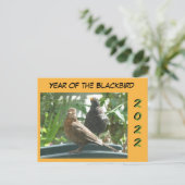 Cute Blackbird Pair Year 2022 Cust. Briefkaart (Staand voorkant)