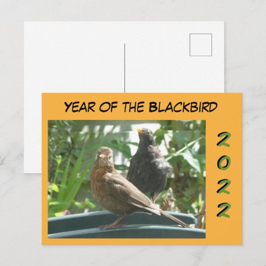 Cute Blackbird Pair Year 2022 Cust. Briefkaart (Voorkant / Achterkant)