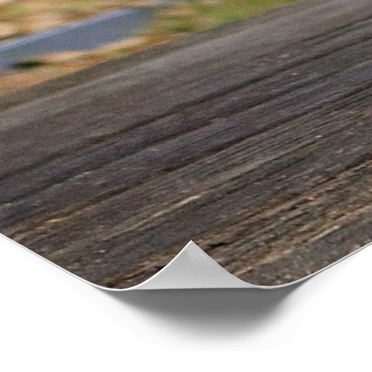 Cute Blenheim Cavalier King Charles Spaniel Puppy Poster (Hoek)