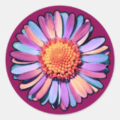 Cute Bloem Paars Roze Blauw Boho Madelief Biseksue Ronde Sticker (Voorkant)