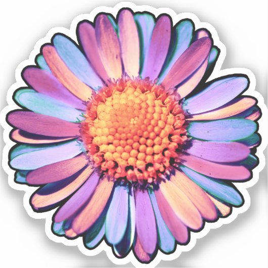 Cute Bloem Paars Roze Blauw Boho Madelief Biseksue Sticker (Voorkant)