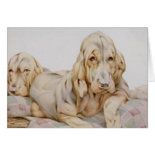 Cute Bloodhounds, Puppy Dogs door EJ Detmold
