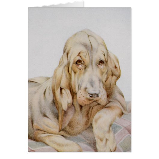  Cute Bloodhounds, Puppy Dogs door EJ Detmold (Voorkant)