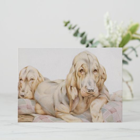  Cute Bloodhounds, Puppy Dogs door EJ Detmold (Staand voorkant)