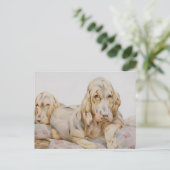  Cute Bloodhounds, Puppy Dogs door EJ Detmold Briefkaart (Staand voorkant)