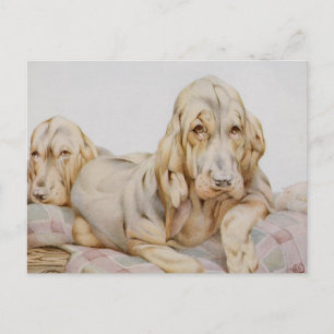  Cute Bloodhounds, Puppy Dogs door EJ Detmold Briefkaart
