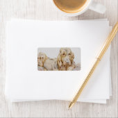 Cute Bloodhounds, Puppy Dogs door EJ Detmold Etiket (Insitu)