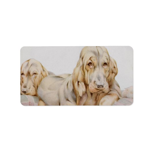 Cute Bloodhounds, Puppy Dogs door EJ Detmold Etiket (Voorkant)