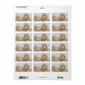 Cute Bloodhounds, Puppy Dogs door EJ Detmold Etiket (Full Sheet)