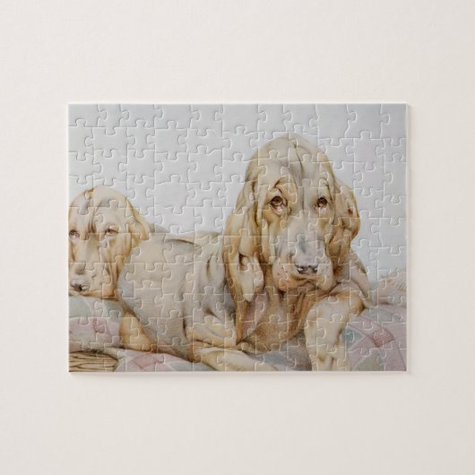  Cute Bloodhounds, Puppy Dogs door EJ Detmold Legpuzzel (Horizontaal)