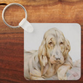 Cute Bloodhounds, Puppy Dogs door EJ Detmold Sleutelhanger (Voorkant)