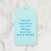 Cute Blue Baby Owl Custom Cadeaulabels (Achterkant)