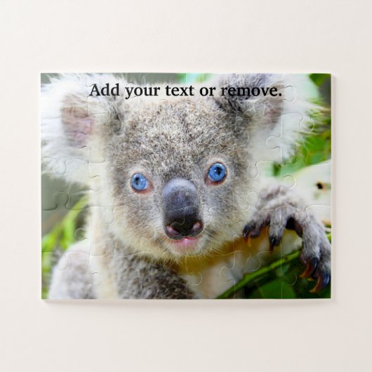 Cute blue eyed koala beer marsupial, Australië Legpuzzel (Horizontaal)