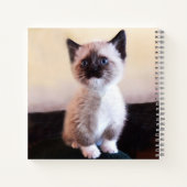 Cute Blue Eyed Pet Siamese Kitten Placeholder Notitieboek (Achterkant)
