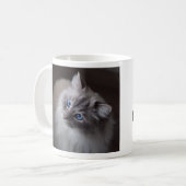 Cute Blue Eyed Ragdoll cat Mok (Voorkant links)
