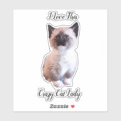 Cute Blue Eyed Siamese Kitten Custom Sticker (Vel)