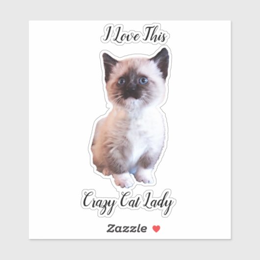 Cute Blue Eyed Siamese Kitten Custom Sticker (Vel)