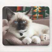 Cute Blue-Eyed Siamese Kitten Photo Muismat (Voorkant)
