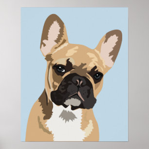 Cute Blue French Bulldog   Franchie Poster